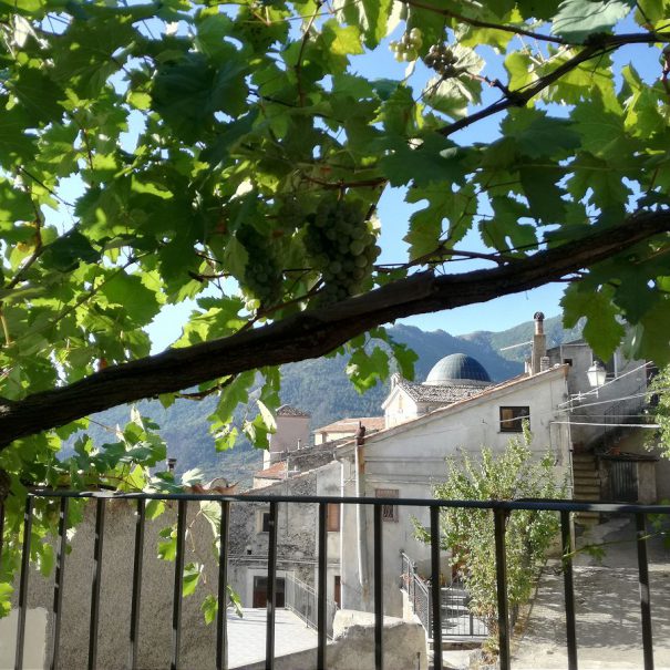 giardino_del_nibbio 1