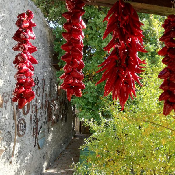 giardino_del_nibbio 8