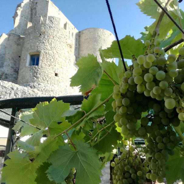 giardino_del_nibbio 19