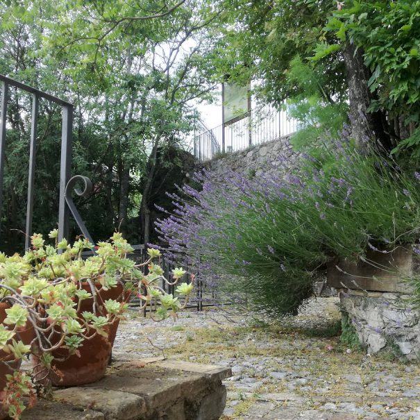 giardino_del_nibbio 11