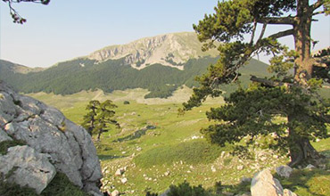 parco-nazionale-del-pollino