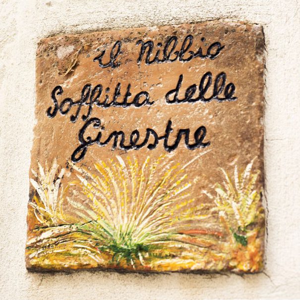 soffitta-delle-ginestre-mattonella